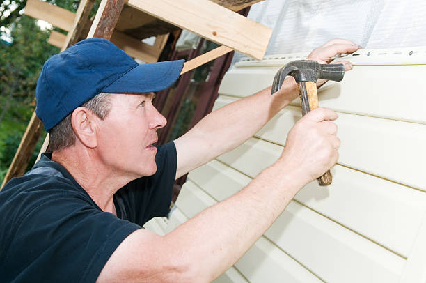 Best Stone Veneer Siding  in Manche Village, CA